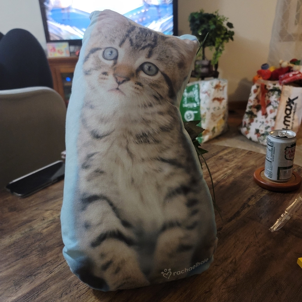 Kitten Throw Pillow